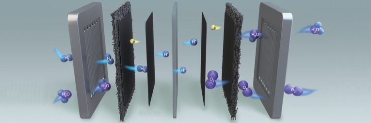 Membrane Electrode Assembly