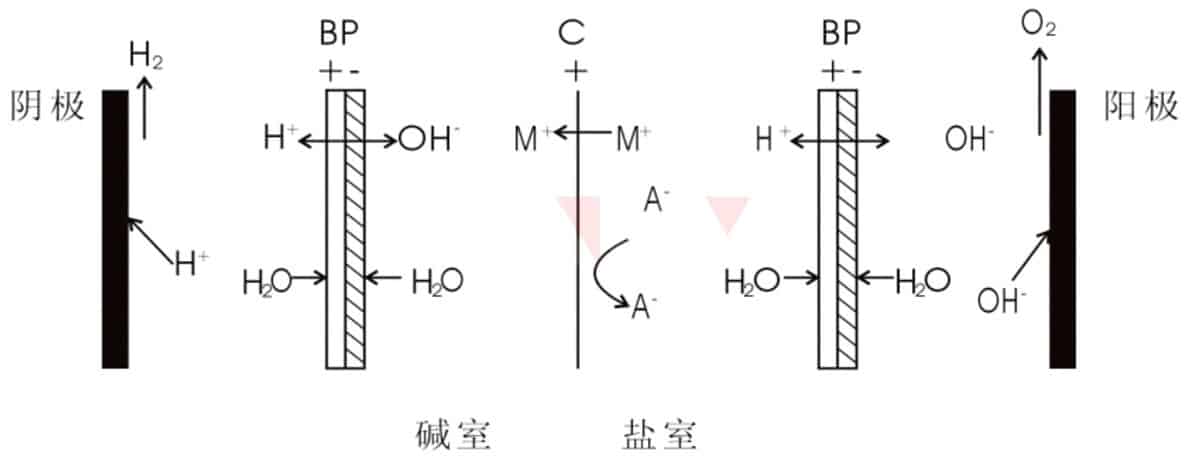 双极膜+阳离子交换膜