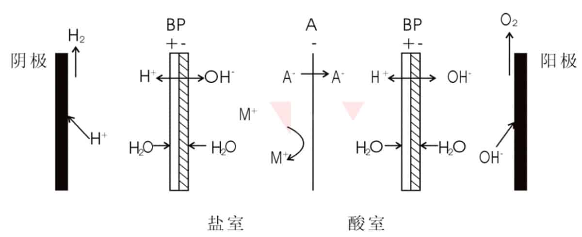 双极膜+阴离子交换膜