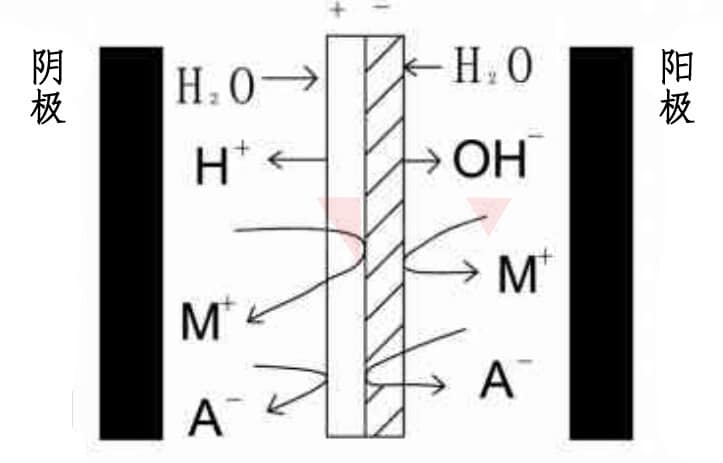 双极膜原理